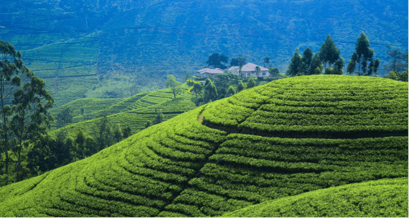 Day 9 Normal - Day 3