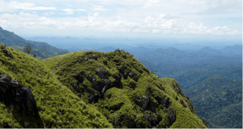 Day 9 Normal - Day 4 & 5