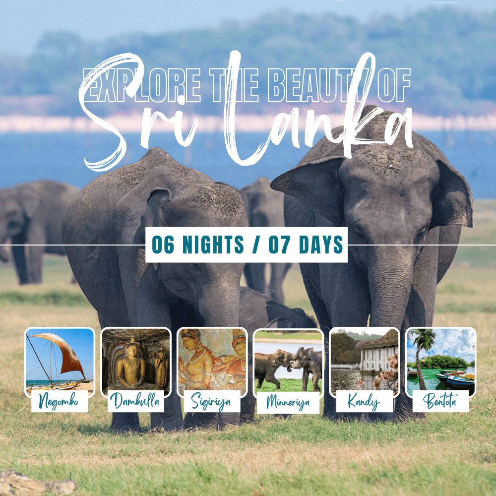 Experience the Best of Sri Lanka in 7 Days