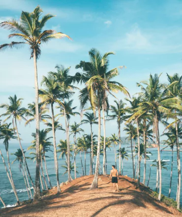 Mirissa Coconut Tree Hills