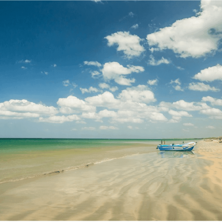 VISIT NILAVELI BEACH