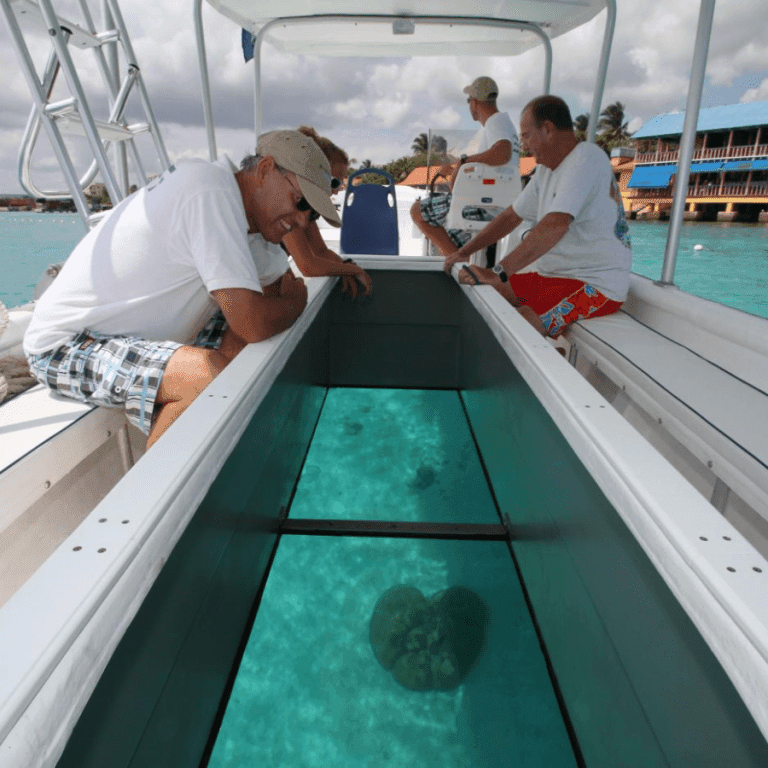 GLASS-BOTTOM BOAT RIDES