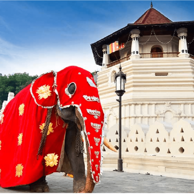 TEMPLE OF THE SACRED TOOTH RELIC