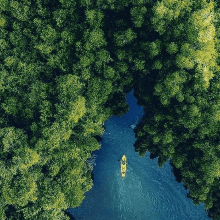 MADU RIVER BOAT SAFARI