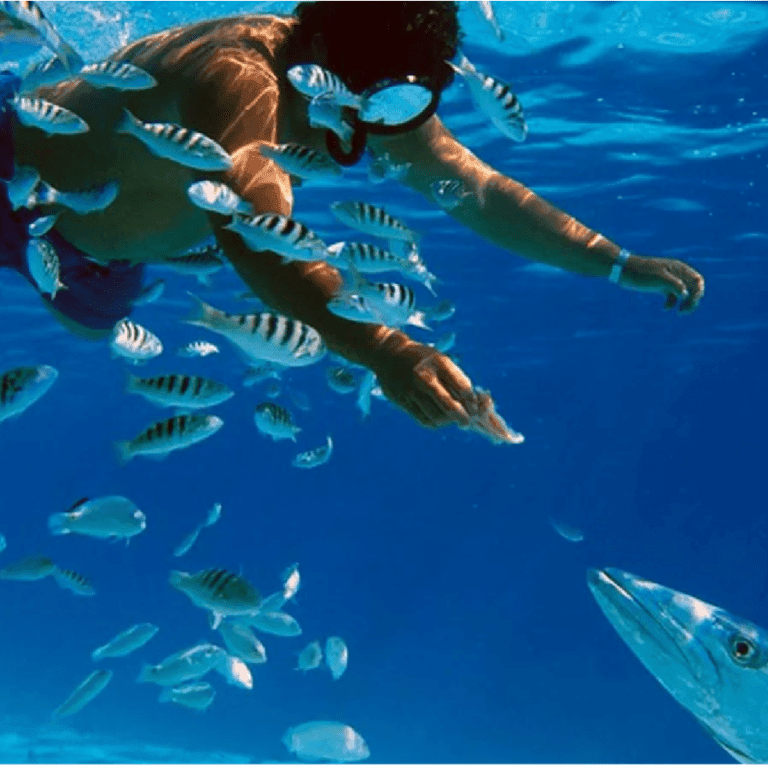 SNORKELING IN HIKKADUWA, MIRISSA, TALPE & MADIHE