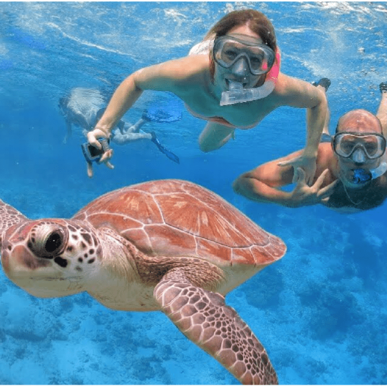 DIVING IN TRINCOMALEE