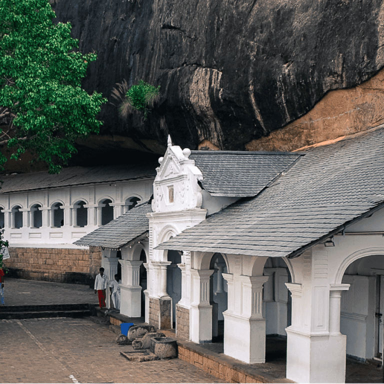 DAMBULLA CAVE TEMPLE TOUR