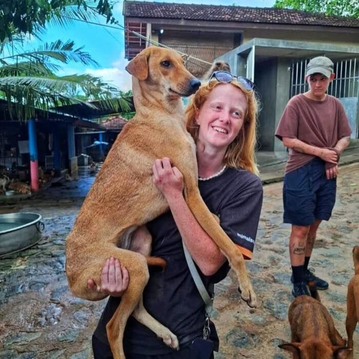 Dog Rescued 1